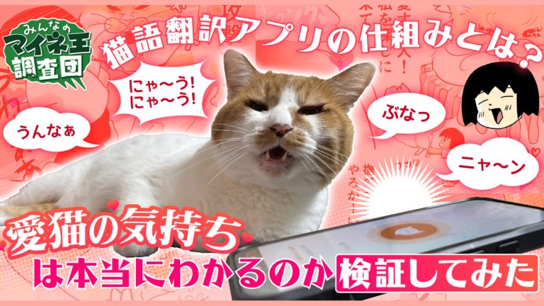 猫語翻訳アプリの仕組みとは？ 愛猫の気持ちは本当にわかるのか検証してみた【マイネ王調査団】